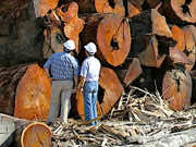 recliamed wood flooring thumbnail