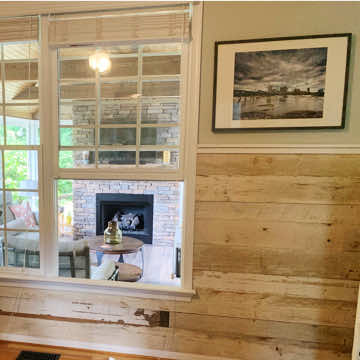 Painted Skins Wainscoting